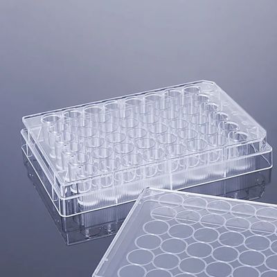 Cell Culture Plates With Treated Culture Surface And Plates 6 12 24 48 And 96 Wells With Flat Bottoms