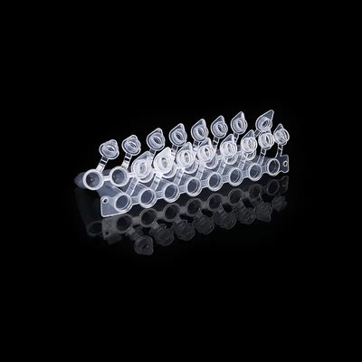 첨부된 캡 PCR 8 연결 파이프와 돔 형태 캡 0.2 밀리람베르트 PCR 튜브 8 스트립