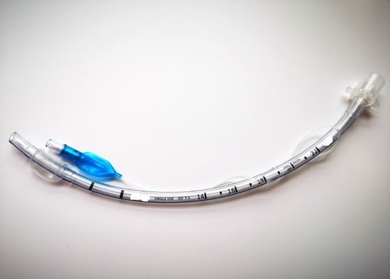 PVC 코 내막관
